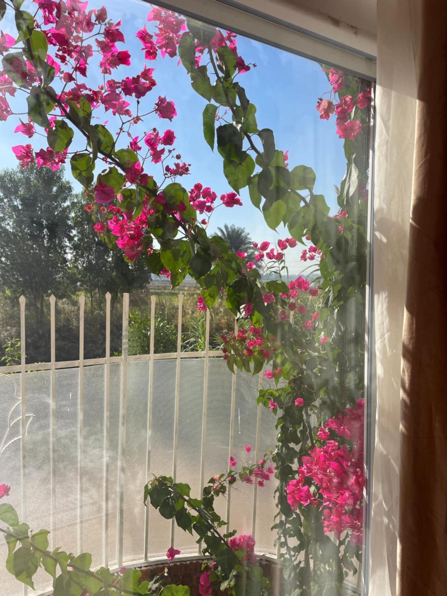 Karima House Hotel Luxor Exterior foto